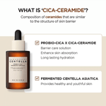 SKIN 1004 - Madagascar Centella Probio-Cica Intensive Ampoule Jumbo 95 ml