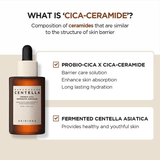 SKIN 1004 - Madagascar Centella Probio-Cica Intensive Ampoule Jumbo 95 ml