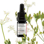 ODACITE  - Pimples Serum Concentrate (Black Cumin + Cajeput) ( 5ml )